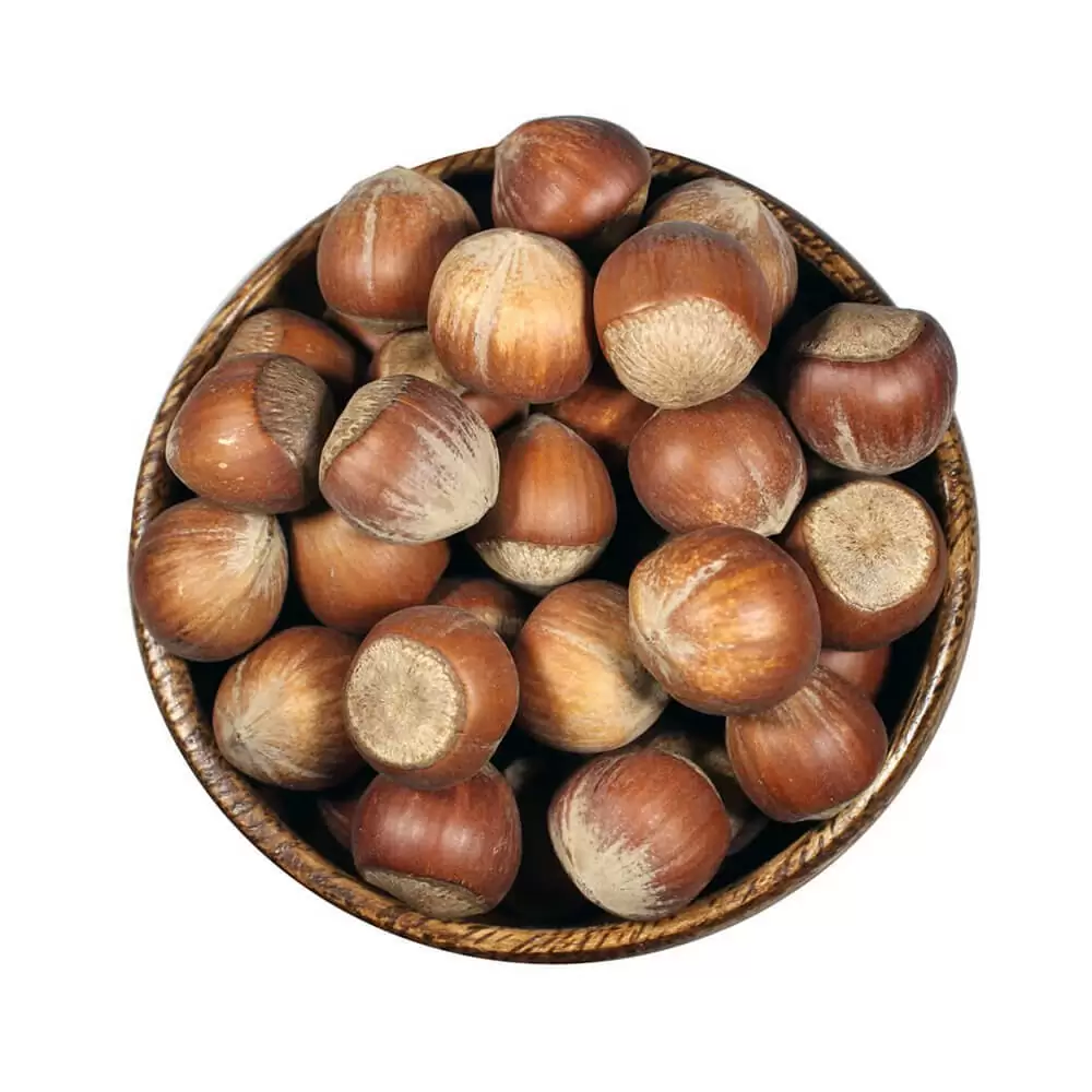 Turkish Hazelnuts